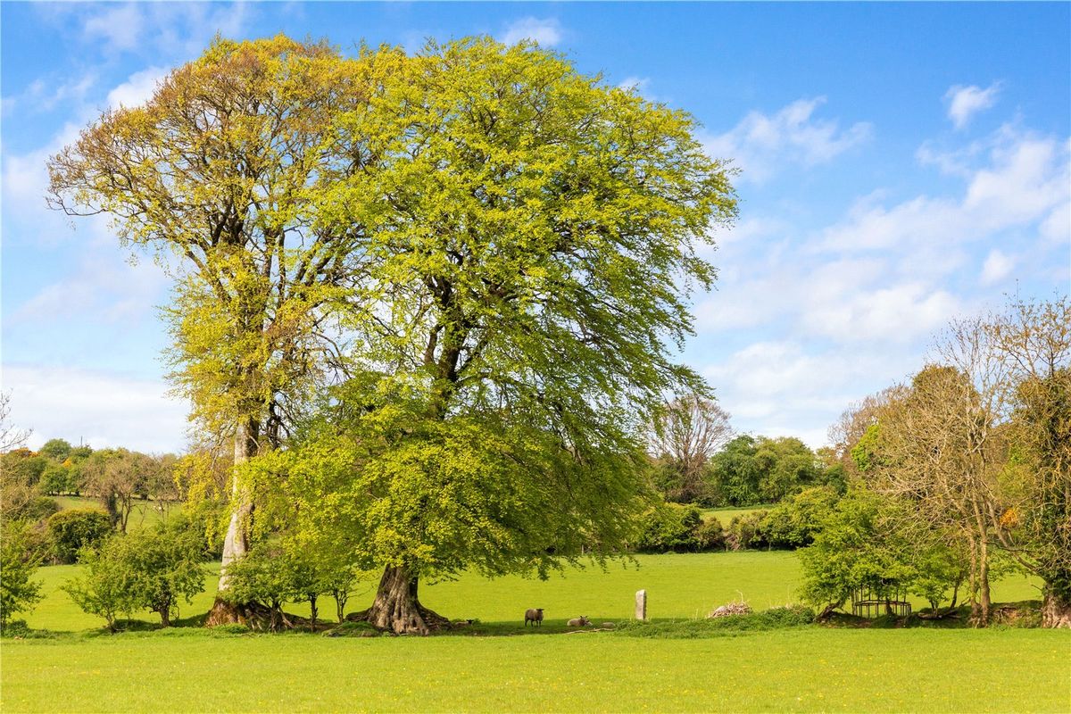 Former Presbytery For Sale: The Presbytery, Crosschapel, Blessington, Co. Kildare Former Presbytery For Sale: The Presbytery, Crosschapel, Blessington, Co. Kildare