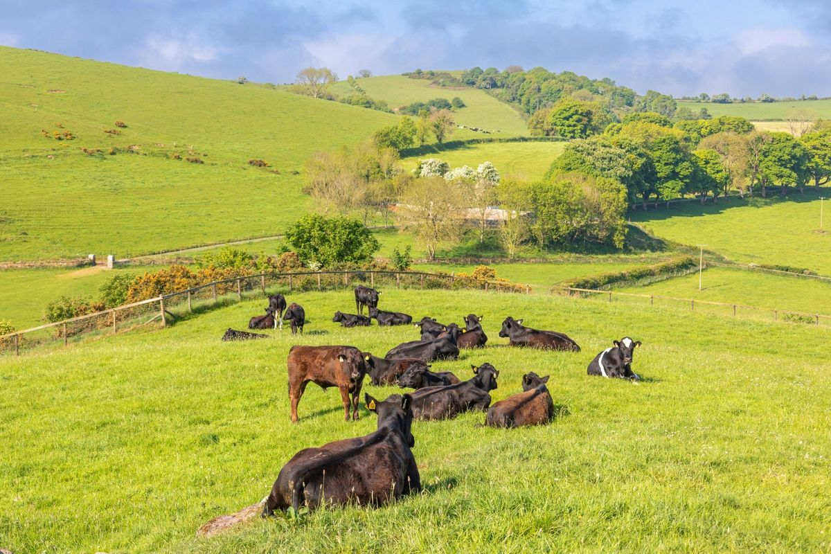 Renovated 18th Century Farmhouse For Sale: The Retreat, Lough Gur, Bruff, Co. Limerick Renovated 18th Century Farmhouse For Sale: The Retreat, Lough Gur, Bruff, Co. Limerick