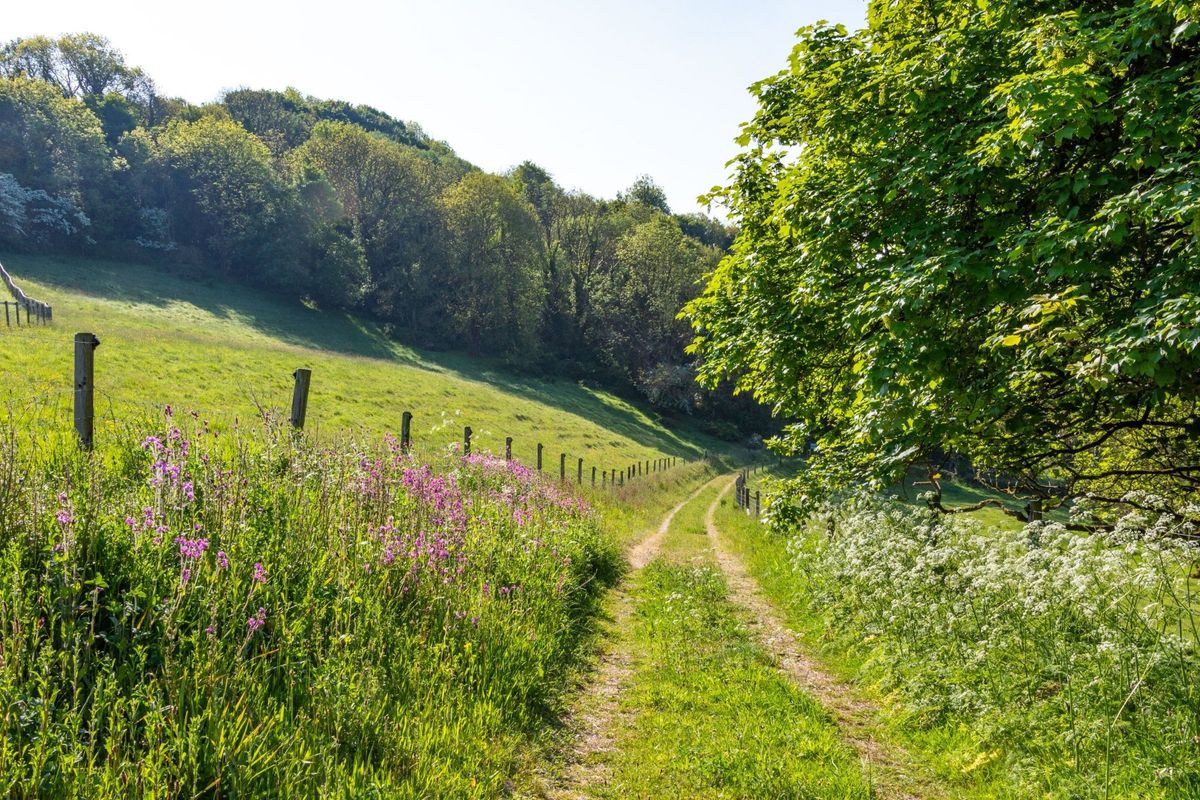 Renovated 18th Century Farmhouse For Sale: The Retreat, Lough Gur, Bruff, Co. Limerick Renovated 18th Century Farmhouse For Sale: The Retreat, Lough Gur, Bruff, Co. Limerick