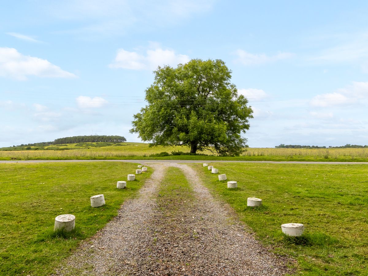 Country Residence For Sale: Thornton Lodge, Ballysax, The Curragh, Co. Kildare Country Residence For Sale: Thornton Lodge, Ballysax, The Curragh, Co. Kildare