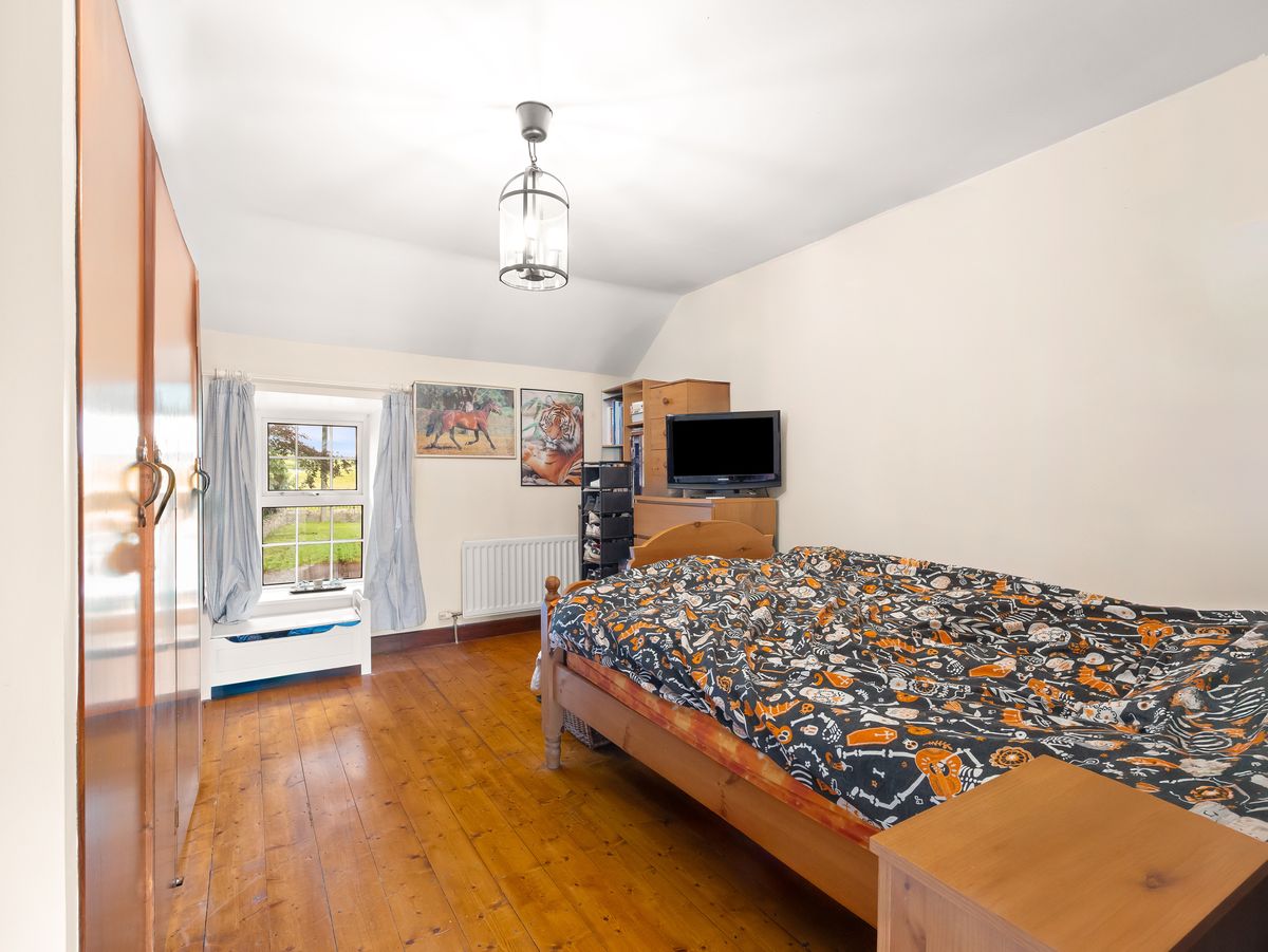 Country Residence For Sale: Thornton Lodge, Ballysax, The Curragh, Co. Kildare Country Residence For Sale: Thornton Lodge, Ballysax, The Curragh, Co. Kildare