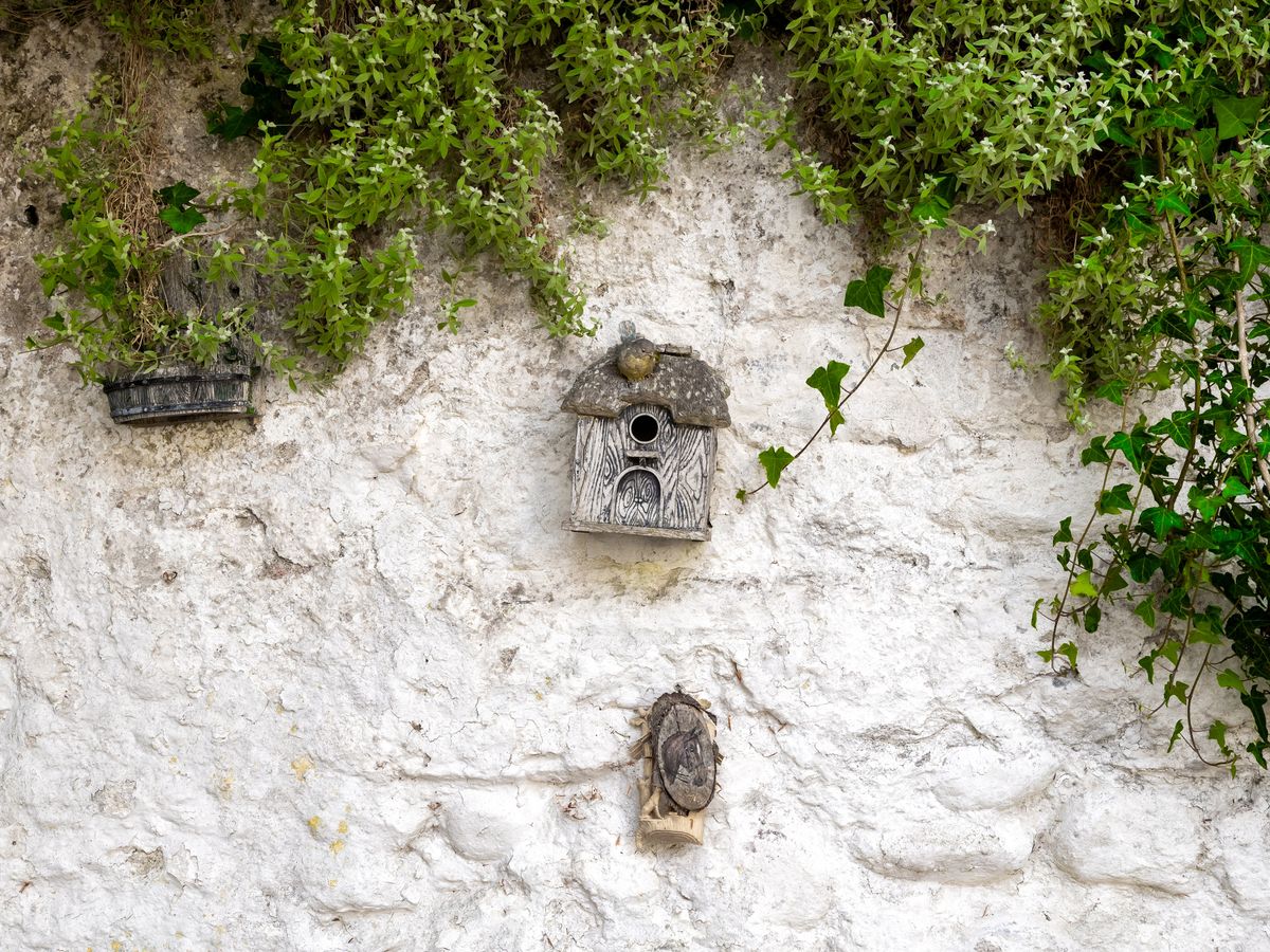 Country Residence For Sale: Thornton Lodge, Ballysax, The Curragh, Co. Kildare Country Residence For Sale: Thornton Lodge, Ballysax, The Curragh, Co. Kildare