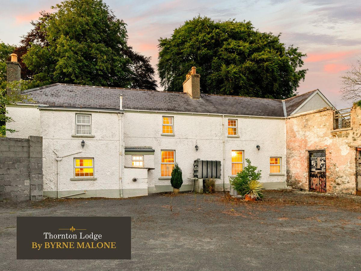 Country Residence For Sale: Thornton Lodge, Ballysax, The Curragh, Co. Kildare Country Residence For Sale: Thornton Lodge, Ballysax, The Curragh, Co. Kildare