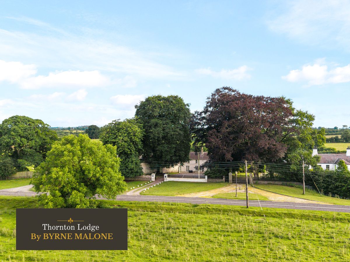 Country Residence For Sale: Thornton Lodge, Ballysax, The Curragh, Co. Kildare Country Residence For Sale: Thornton Lodge, Ballysax, The Curragh, Co. Kildare