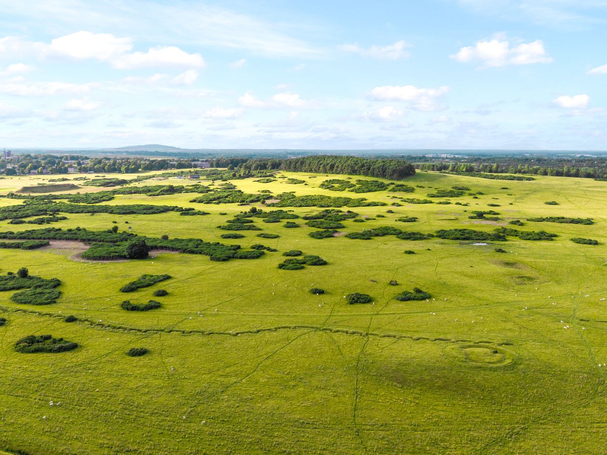 Country Residence For Sale: Thornton Lodge, Ballysax, The Curragh, Co. Kildare Country Residence For Sale: Thornton Lodge, Ballysax, The Curragh, Co. Kildare