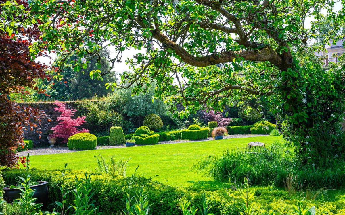 Georgian Country Home For Sale: Waterloo House, Navigation Road, Mallow, Co. Cork Georgian Country Home For Sale: Waterloo House, Navigation Road, Mallow, Co. Cork