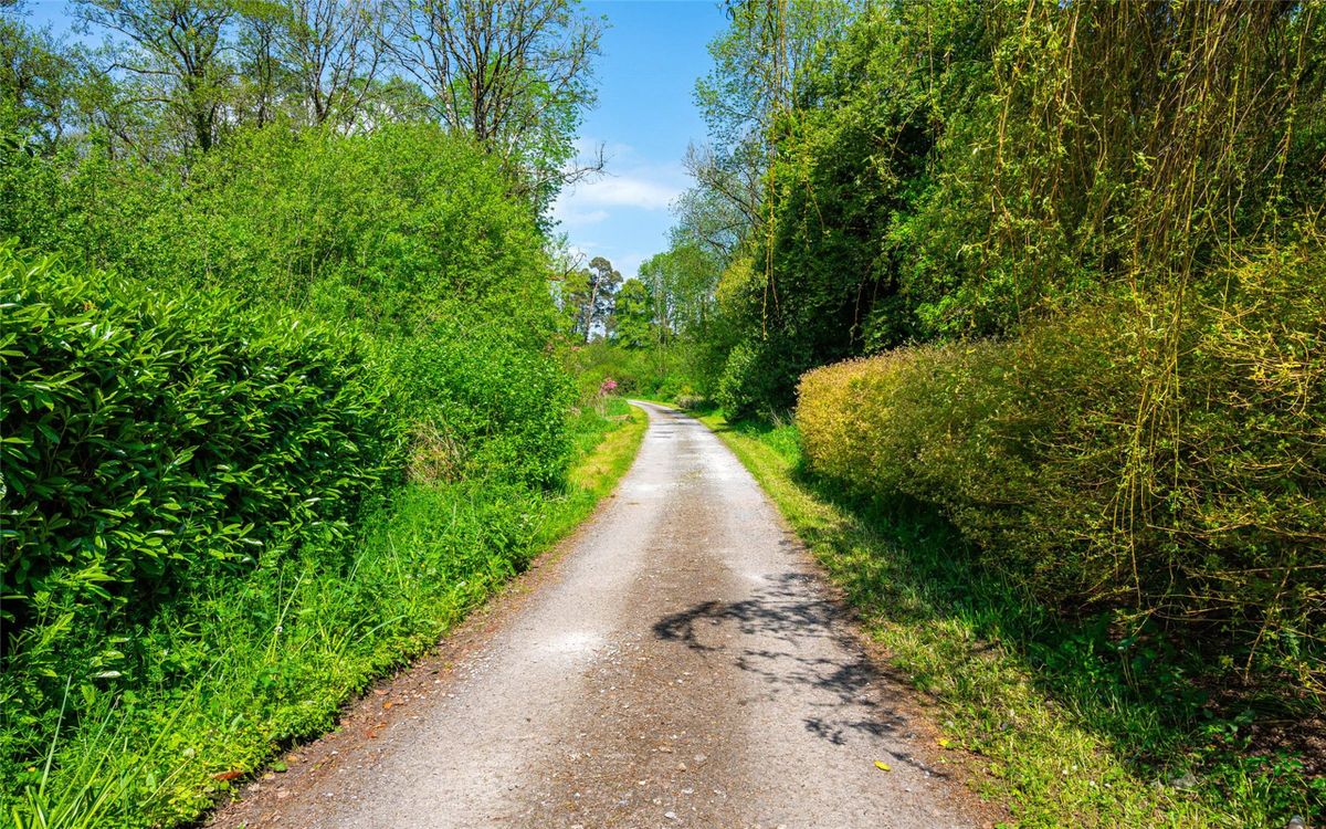 Georgian Country Home For Sale: Waterloo House, Navigation Road, Mallow, Co. Cork Georgian Country Home For Sale: Waterloo House, Navigation Road, Mallow, Co. Cork