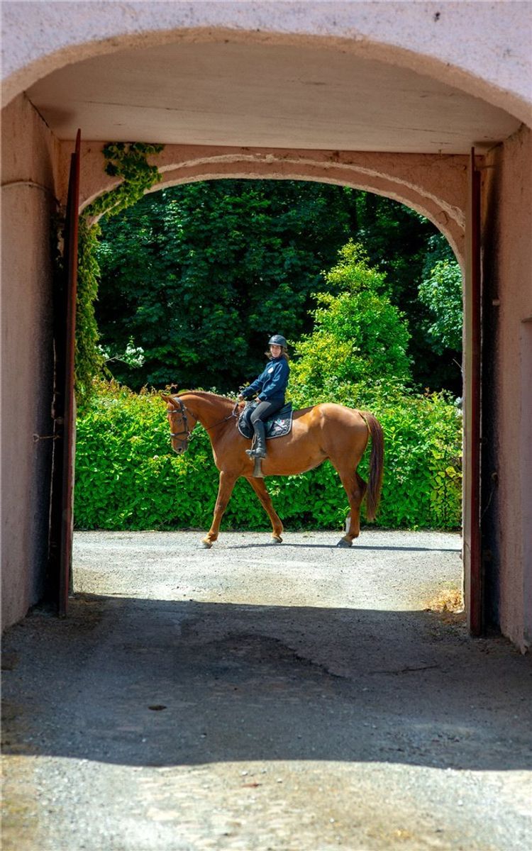 Georgian Country Home For Sale: Waterloo House, Navigation Road, Mallow, Co. Cork Georgian Country Home For Sale: Waterloo House, Navigation Road, Mallow, Co. Cork