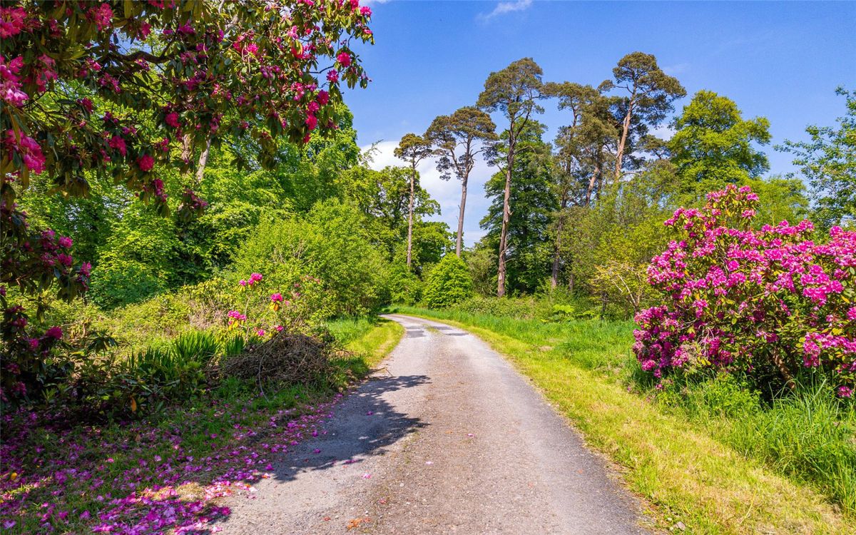 Georgian Country Home For Sale: Waterloo House, Navigation Road, Mallow, Co. Cork Georgian Country Home For Sale: Waterloo House, Navigation Road, Mallow, Co. Cork