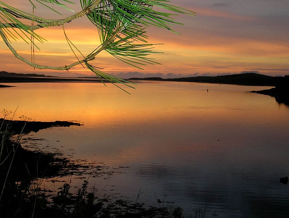 Private Residential Island For Sale: Inis Saimer, Erne Estuary, Ballyshannon, Co. Donegal Private Residential Island For Sale: Inis Saimer, Erne Estuary, Ballyshannon, Co. Donegal