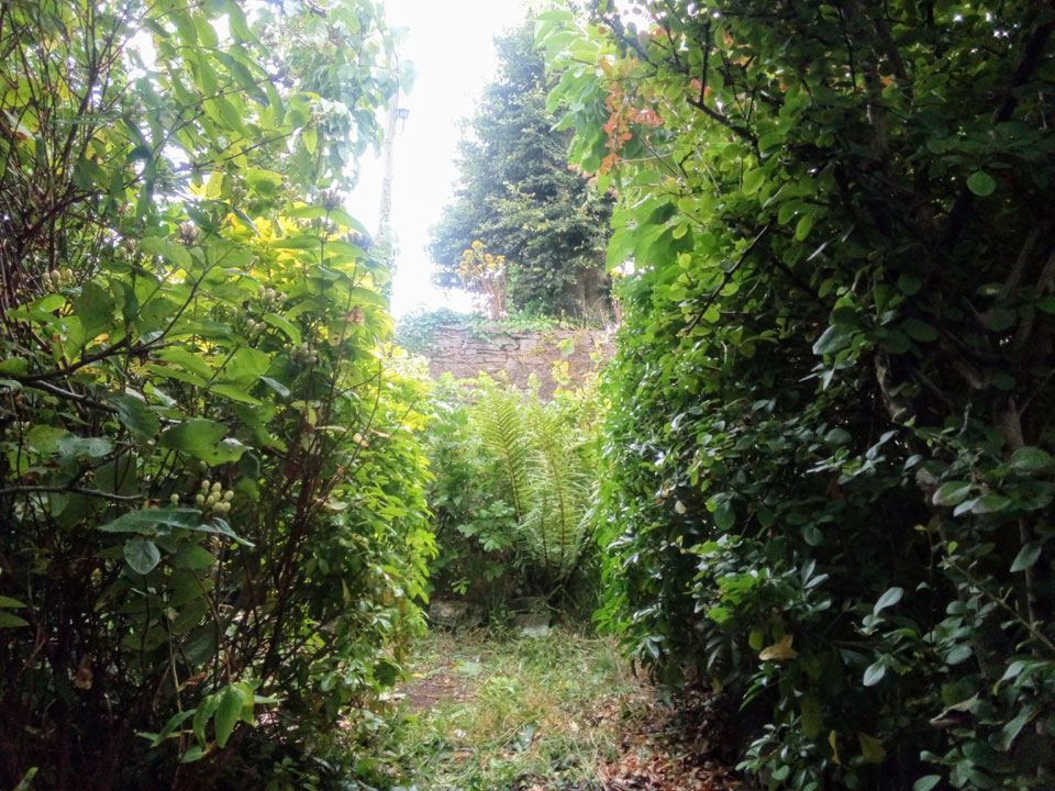 Charming Home For Sale: Sequoia, Newtown, Cobh, Co. Cork Charming Home For Sale: Sequoia, Newtown, Cobh, Co. Cork