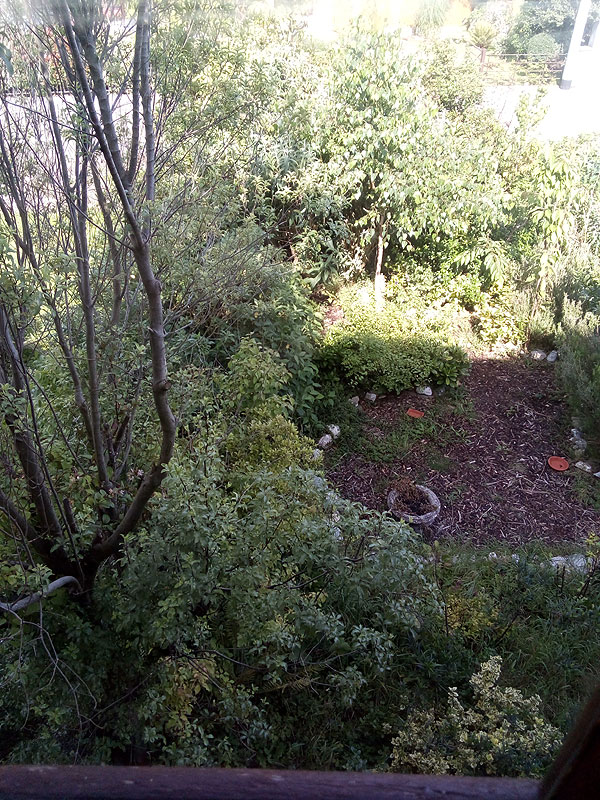 Charming Home For Sale: Sequoia, Newtown, Cobh, Co. Cork Charming Home For Sale: Sequoia, Newtown, Cobh, Co. Cork