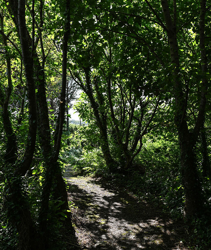 Renvyle House Hotel, Renvyle, Connemara, Co. Galway Renvyle House Hotel, Renvyle, Connemara, Co. Galway